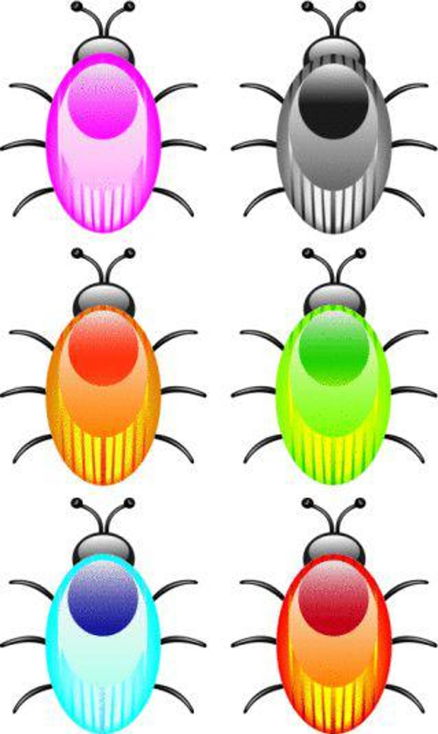 Bedbugs and Your Health