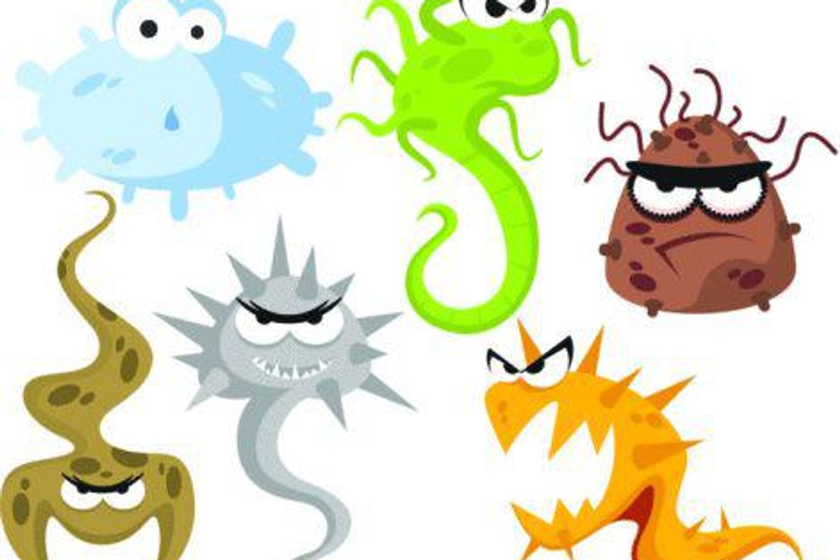 illustration of germs
