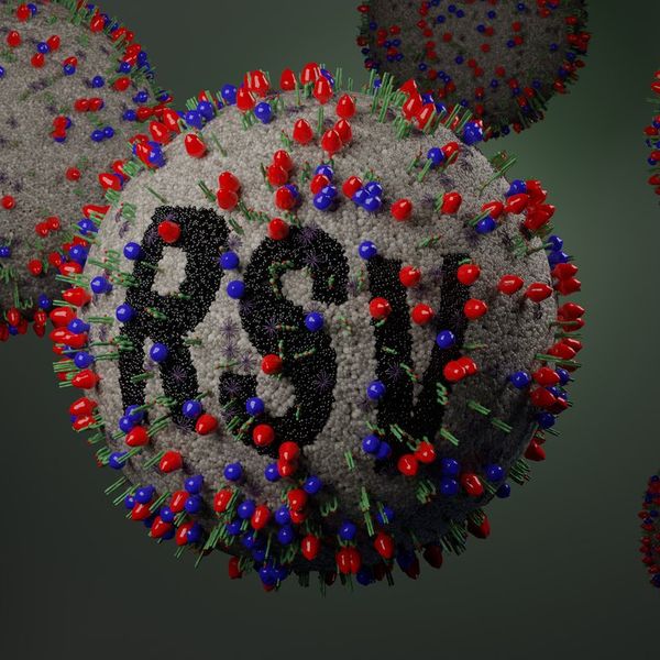 Illustration of Respiratory Syncytial Virus or RSV