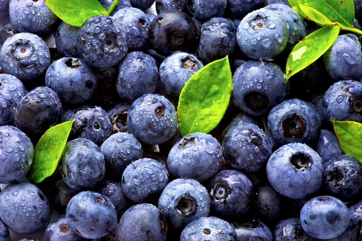 Watch Out for Fake Blueberries