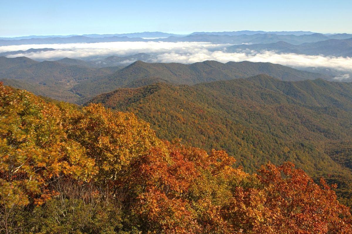 I’m Hiking the Appalachian Trail From Home. Here’s How You Can, Too.