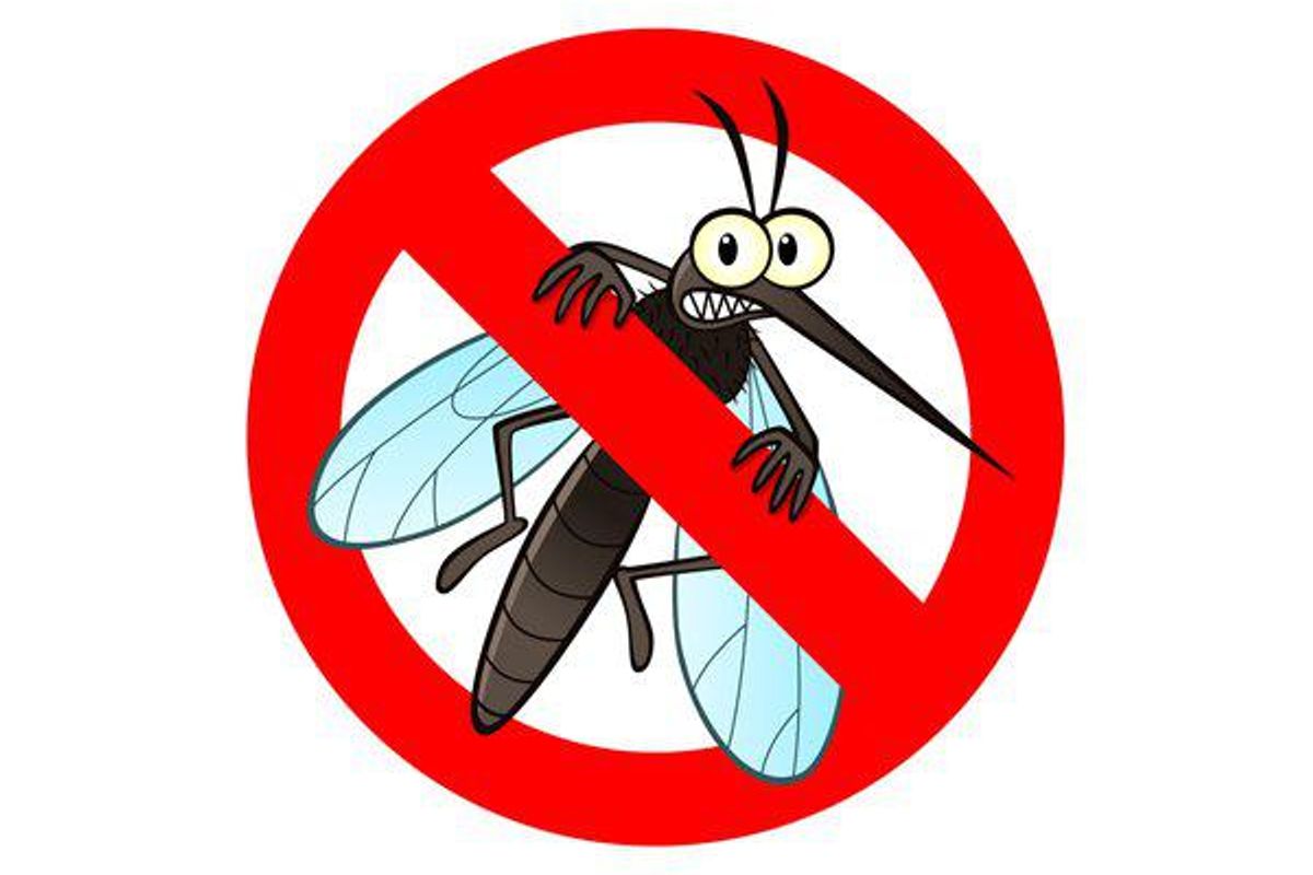 Mosquito-Borne Illnesses: What They Are and How to Prevent Them