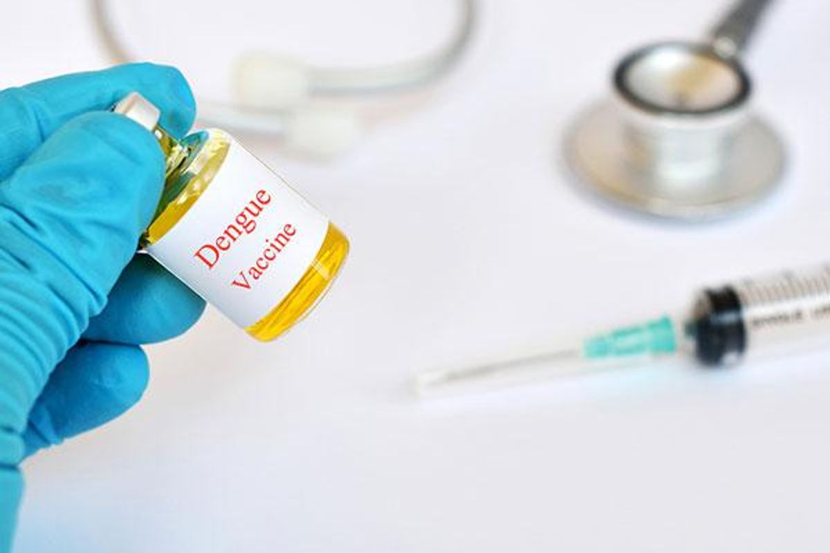 New Dengue Virus Vaccine Shows Promise