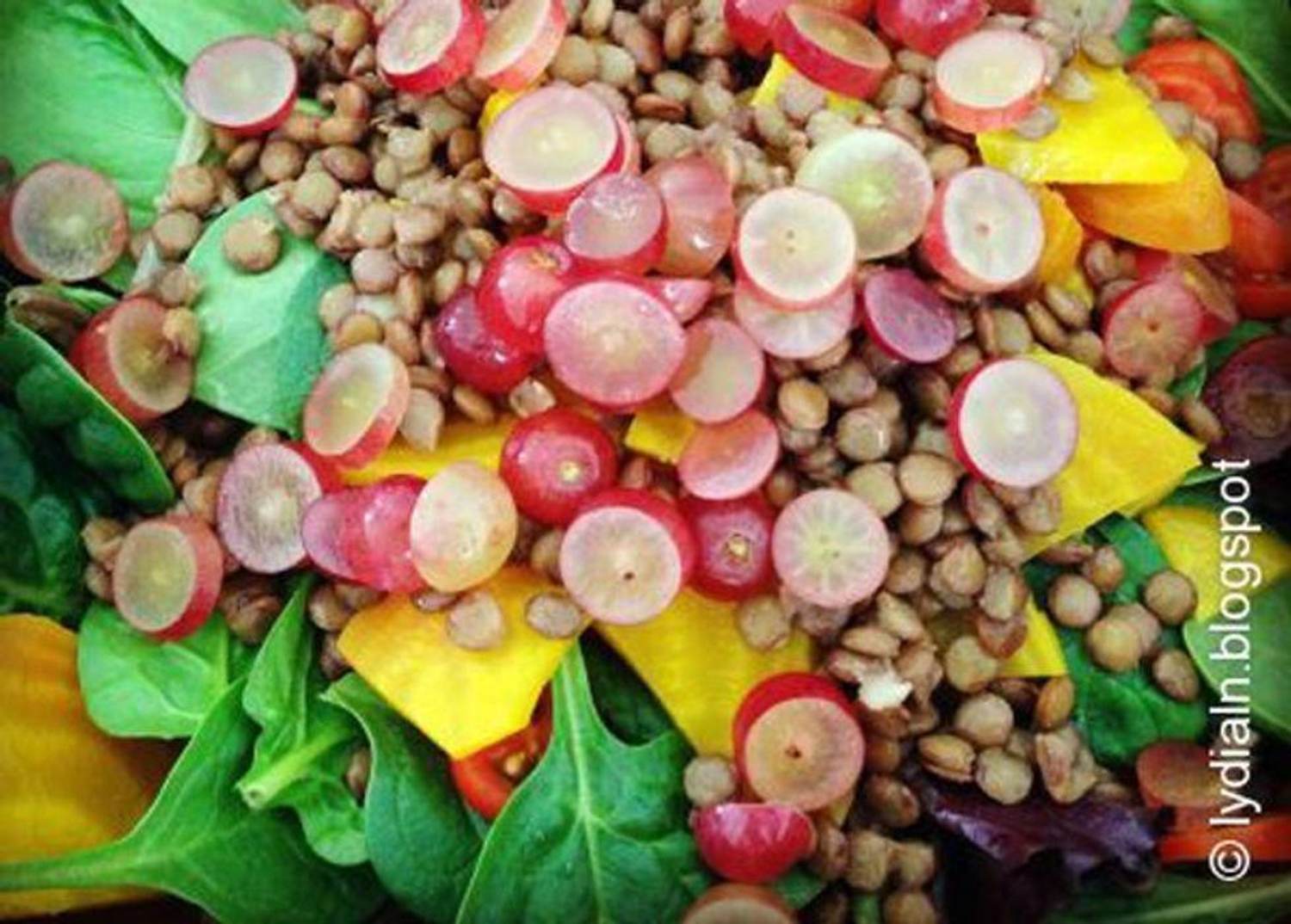 Autumn Salad