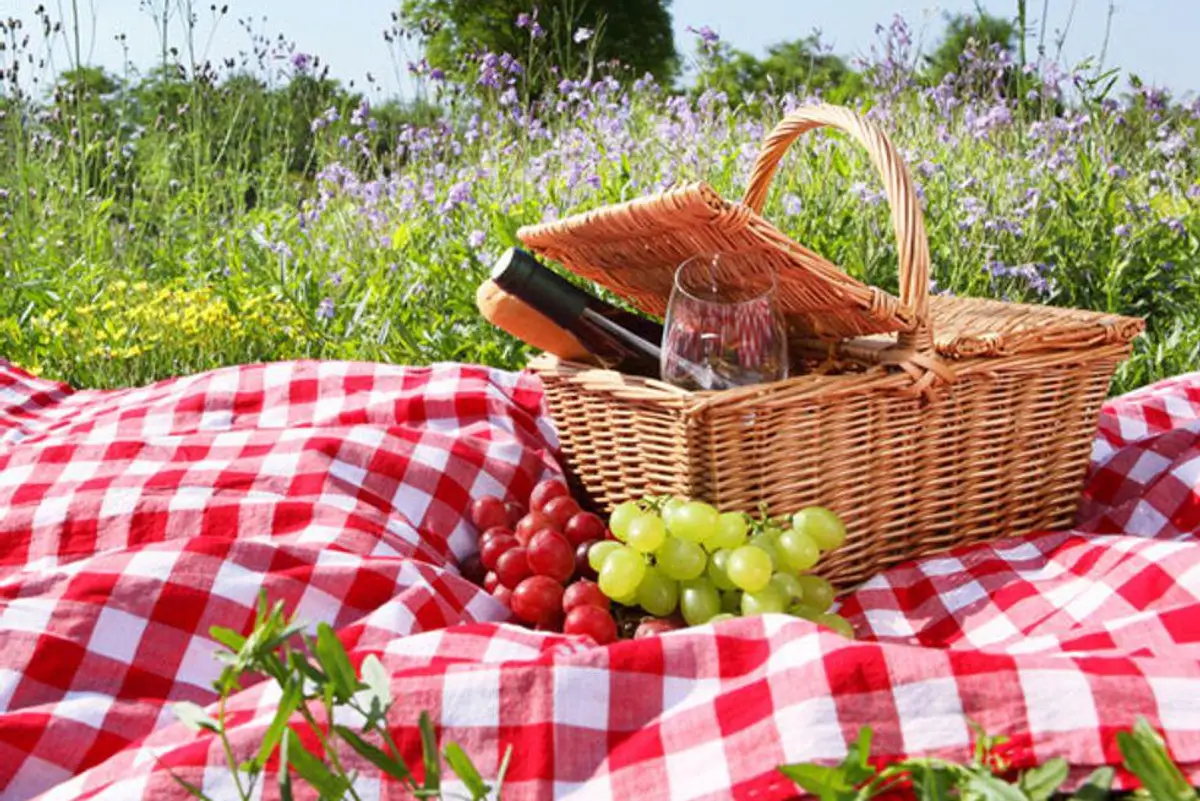 10 Perfect Picnic Recipes