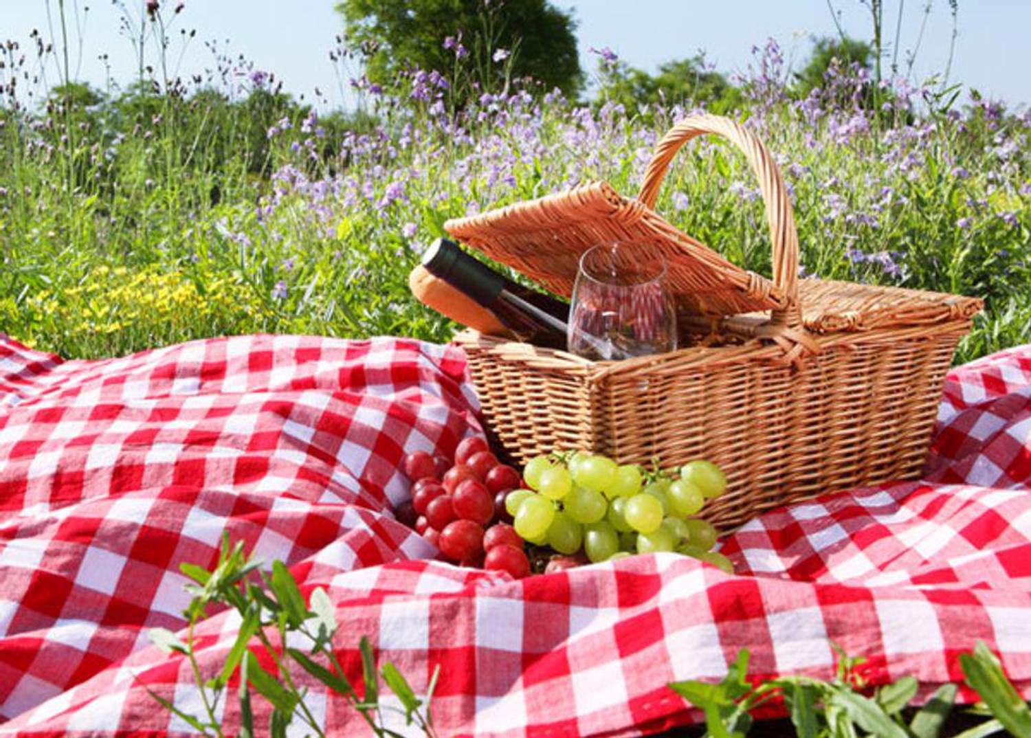 10 Perfect Picnic Recipes
