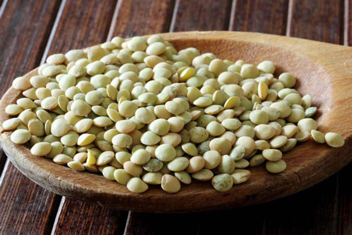 Spicy Tuna and Lentil Salad