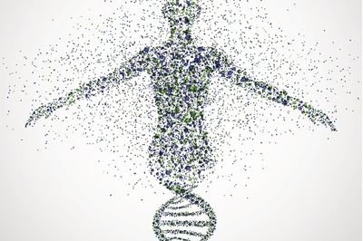 Do Genetic Predispositions Affect Your Health?