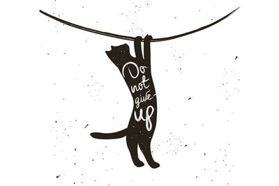 cat hanging that says don't give up