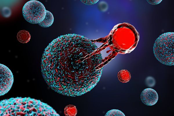 CAR T-Cell Therapy 101