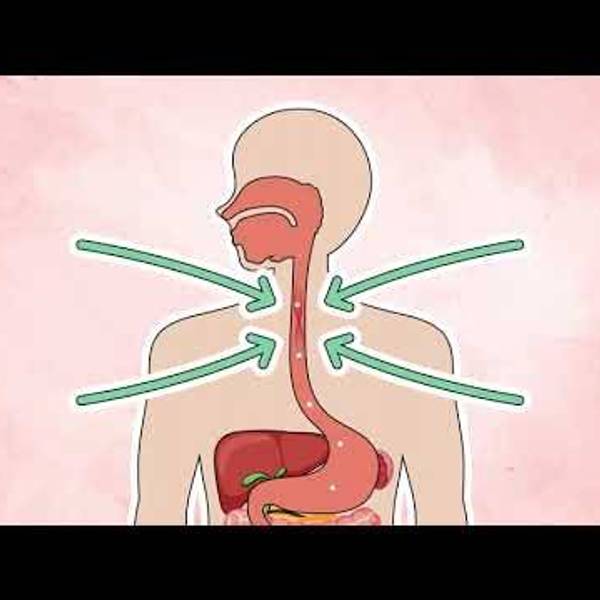 How EoE Affects Your Daily Life