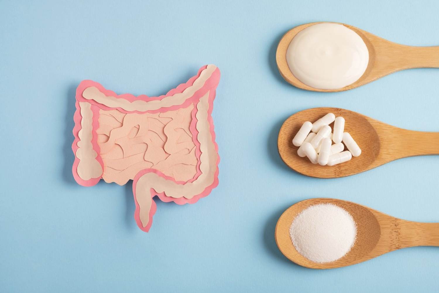 What You Need to Know About Probiotics and Prebiotics