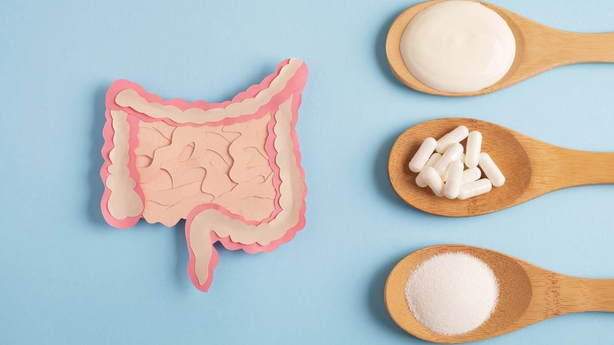 What You Need to Know About Probiotics and Prebiotics