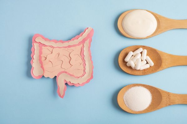 Intestine decorative model with various nutritional supplements