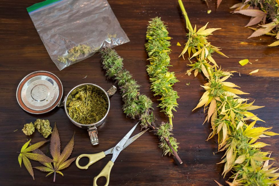 Is Pot Linked to Blood Pressure Deaths?