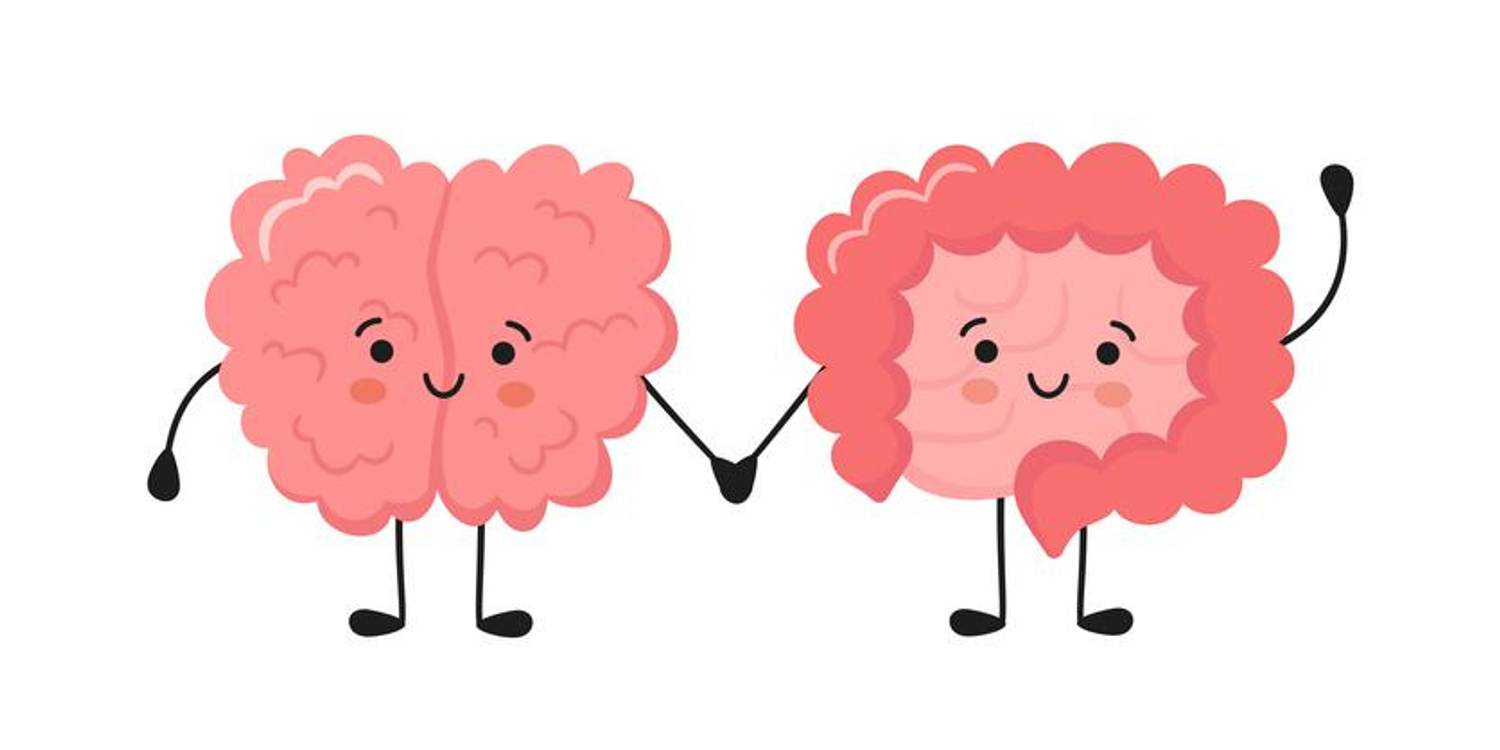 Gut Health and Brain Health. What’s the Connection?