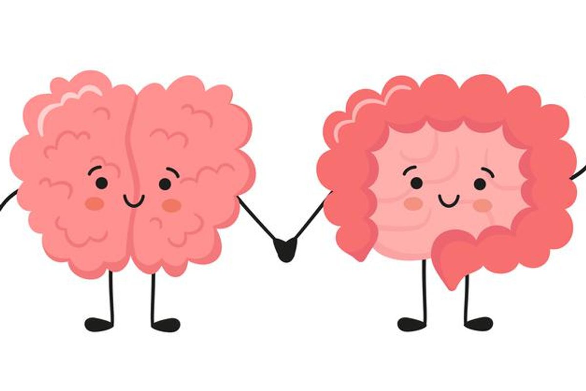 Kawaii happy human brain and funny intestine characters