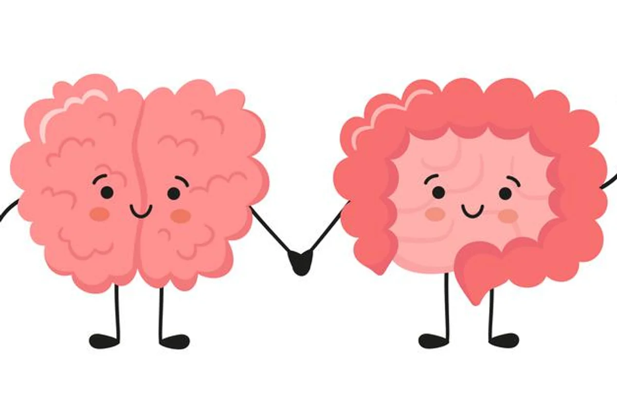 Kawaii happy human brain and funny intestine characters