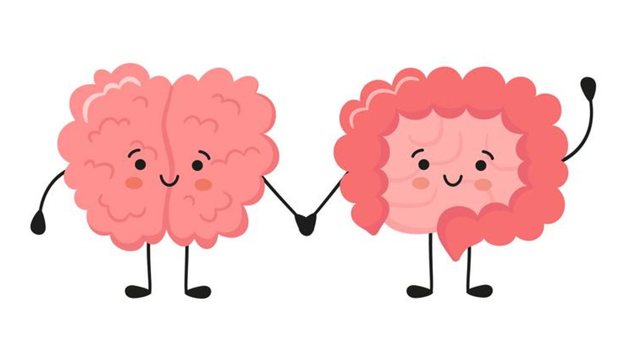 Kawaii happy human brain and funny intestine characters