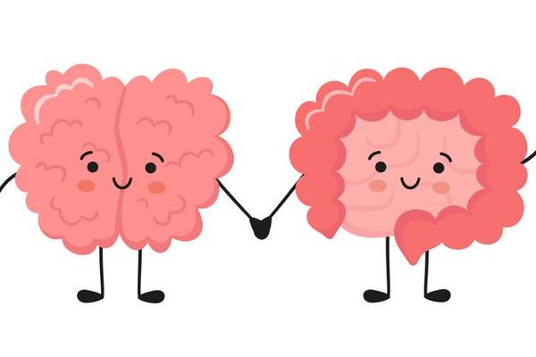 Kawaii happy human brain and funny intestine characters