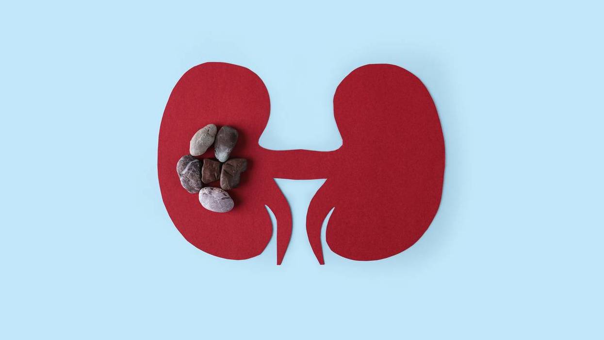 Kidney - human internal organs from paper on blue background