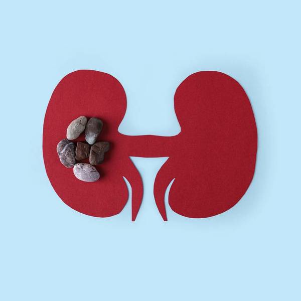 Kidney - human internal organs from paper on blue background