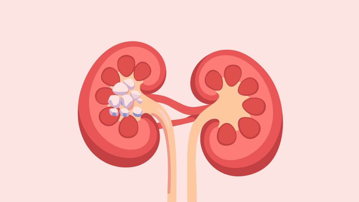 kidneys