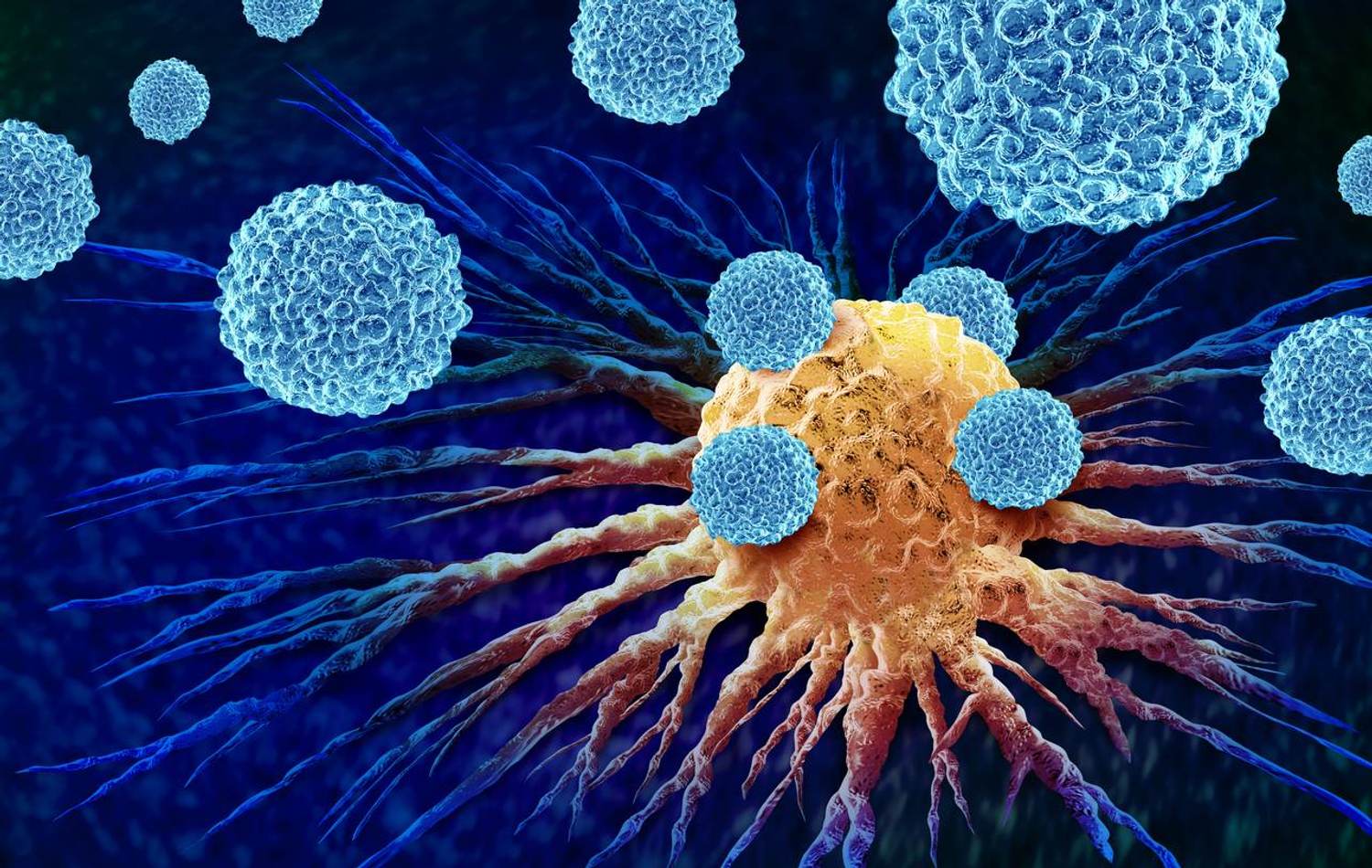 Immunotherapy for Urothelial Bladder Cancer 101