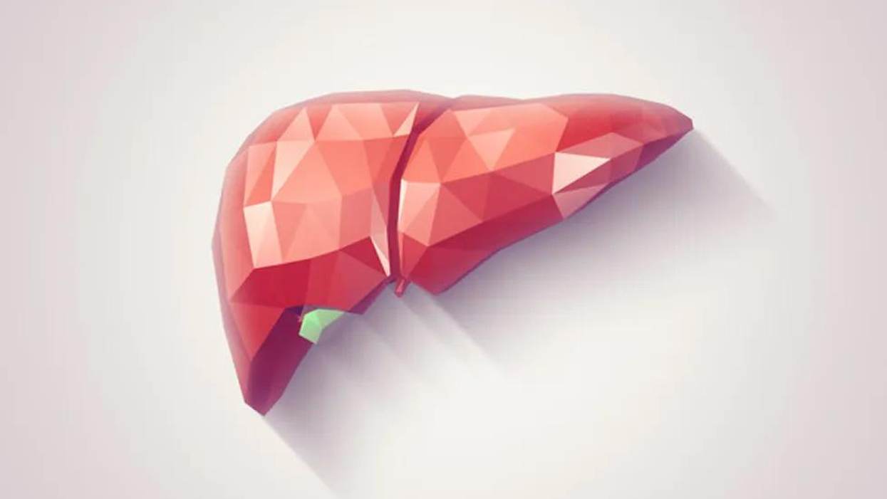 About the Liver