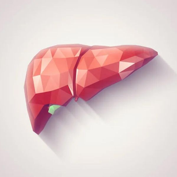 liver