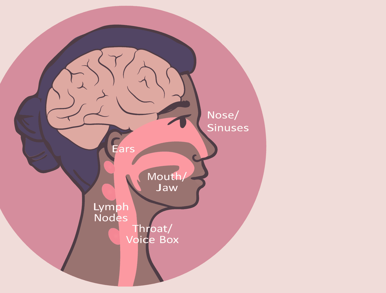 Locations of Head and Neck Cancer