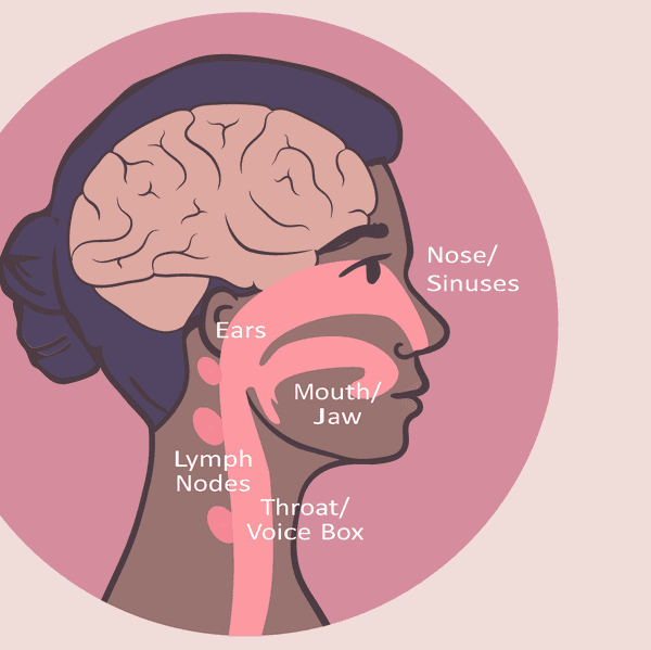 Locations of Head and Neck Cancer