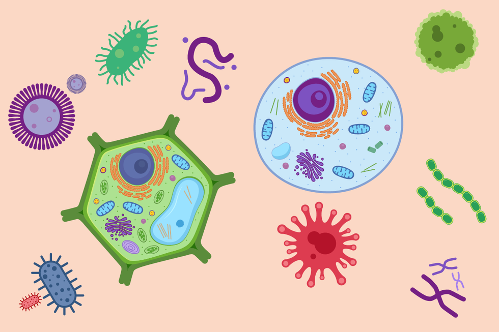 Making biologics and biosimilars