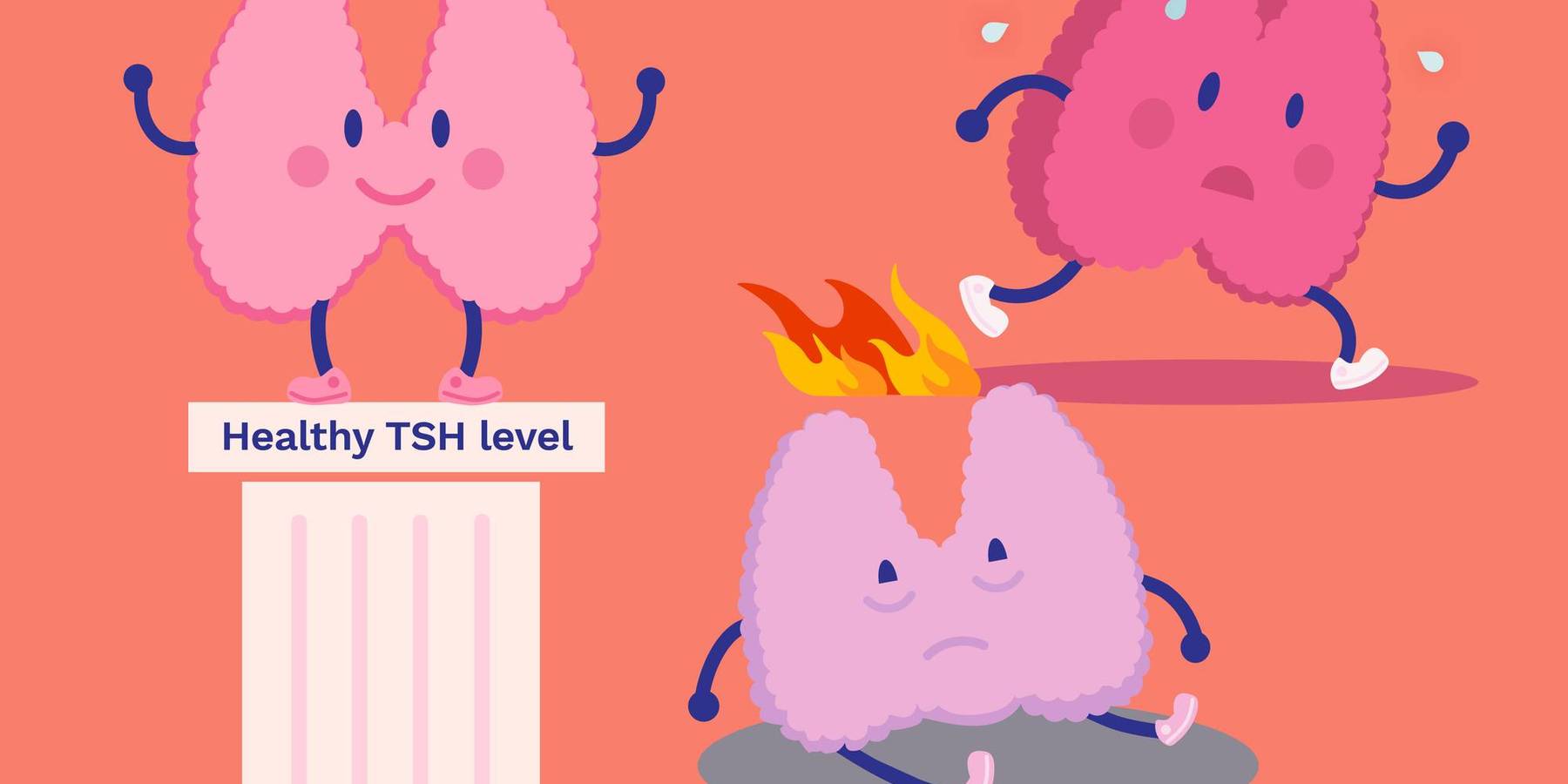 Making Sense of Your Thyroid Lab Results