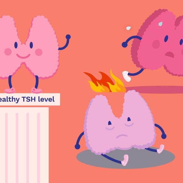 Making Sense of Your Thyroid Lab Results