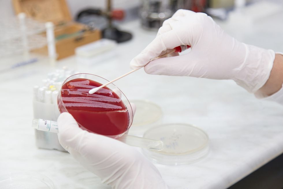 Many Americans Unaware of 'Superbug' Threat