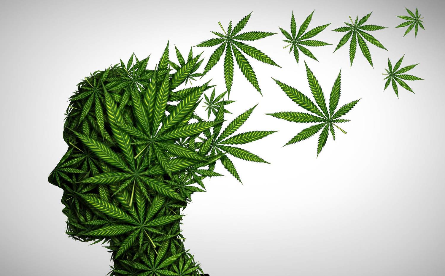 How Does Smoking Marijuana Affect Academic Performance? Two Researchers Explain How It Can Alter More Than Just Moods