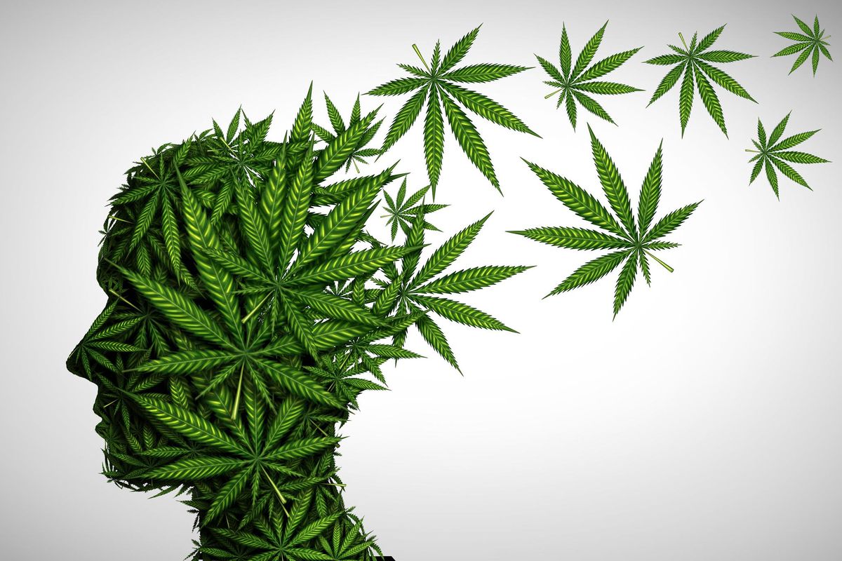 Marijuana effects on the brain and cannabis mood altering chemicals or psychology and drugs concept in a 3D illustration style.