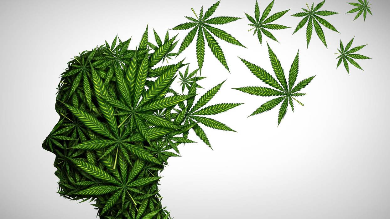 How Does Smoking Marijuana Affect Academic Performance? Two Researchers Explain How It Can Alter More Than Just Moods