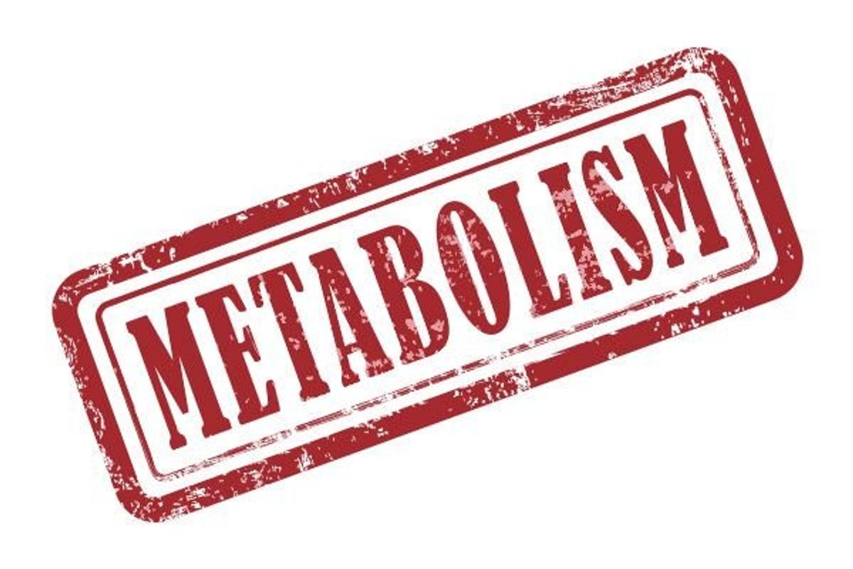 metabolism sign