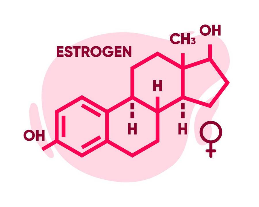Molecular chemical formula of estrogen