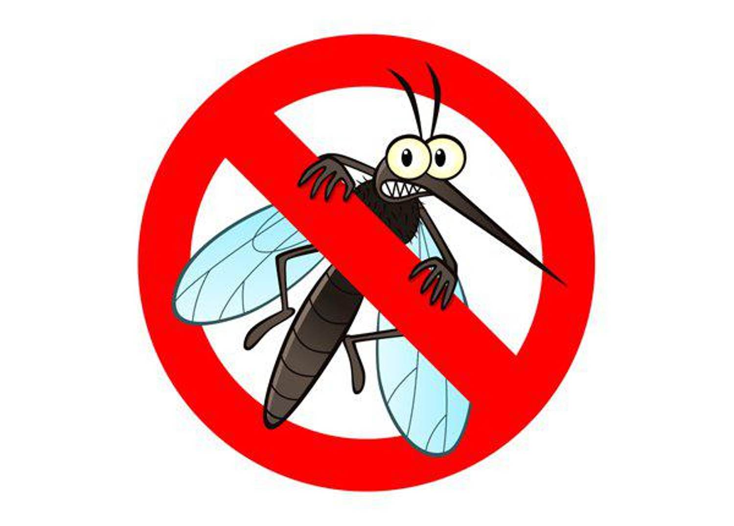 Mosquito-Borne Illnesses: What They Are and How to Prevent Them