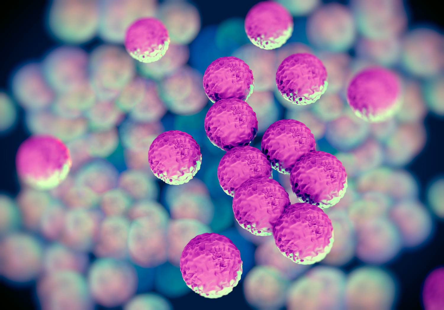 The Biden Administration Needs to Wage War Against Antimicrobial Resistance Starting on Day One