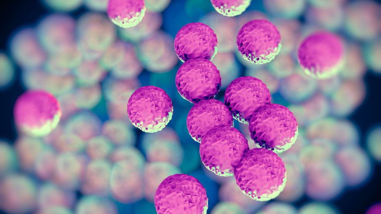 The Biden Administration Needs to Wage War Against Antimicrobial Resistance Starting on Day One