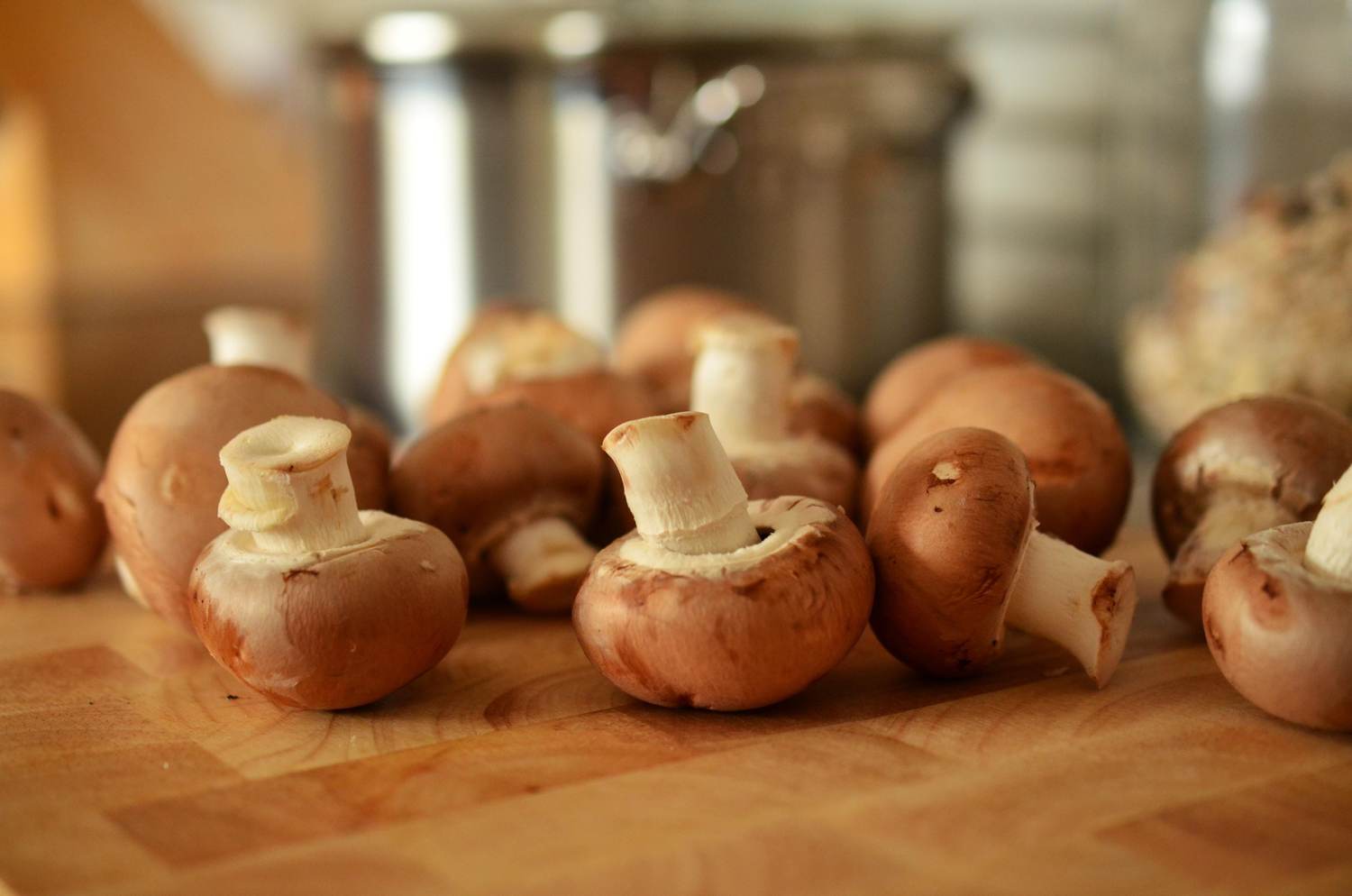 Mushrooms and Your Health: You Either Love Them or Hate Them, but Here Are Reasons to Try to Love Them
