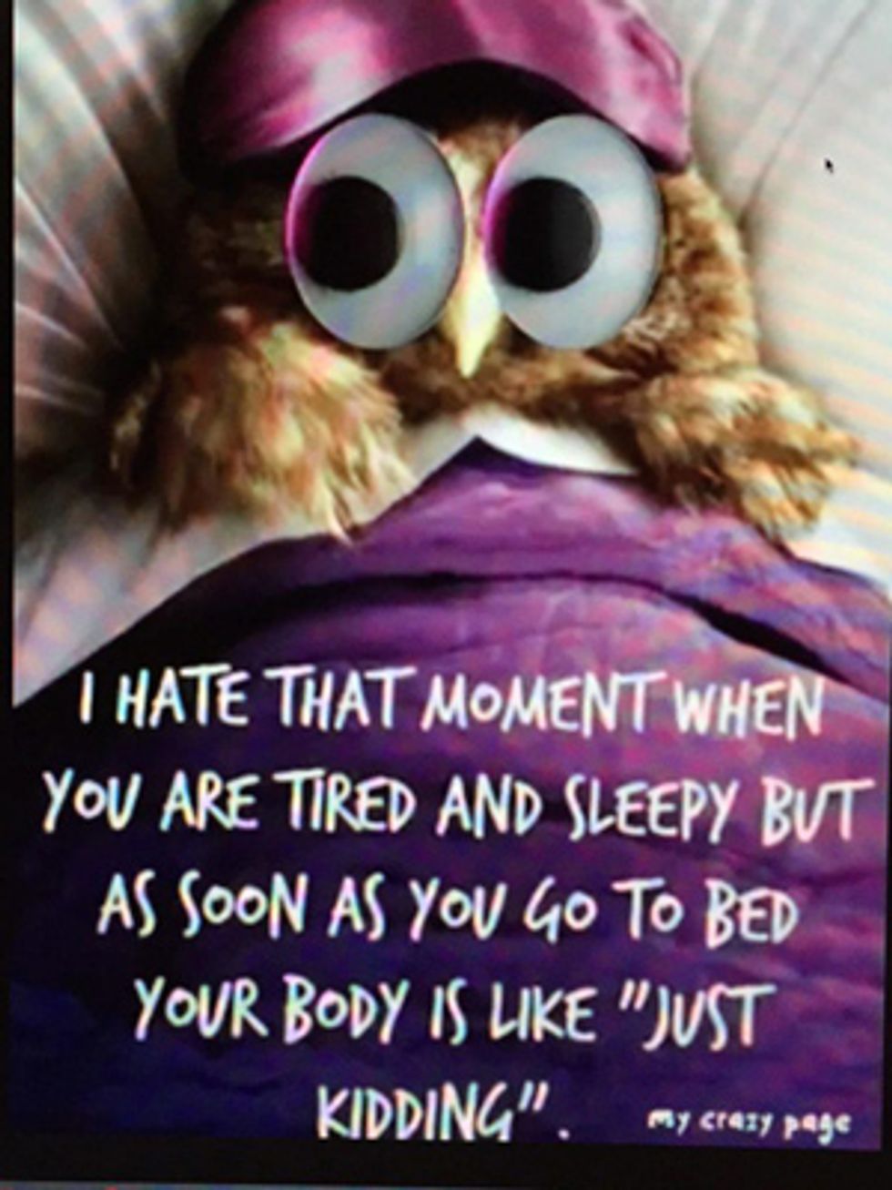 My Crazy Page owl video