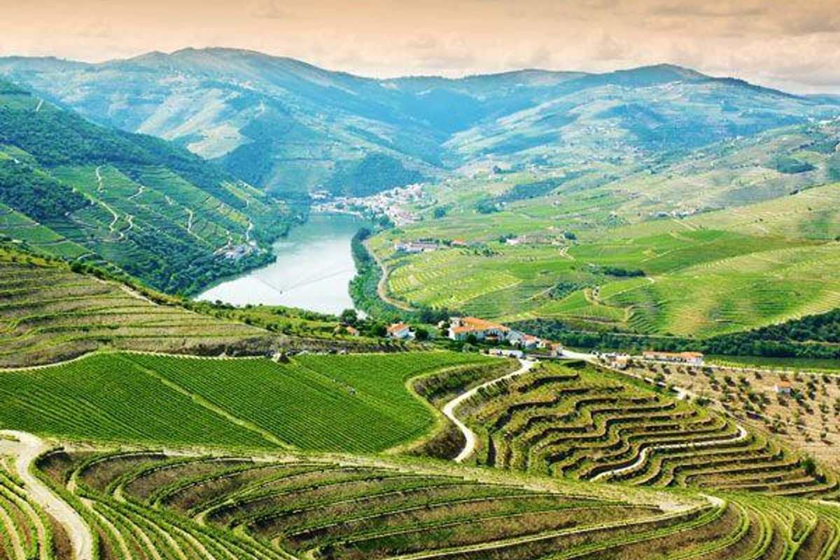 My River Cruise on the Douro: Breathtaking Views