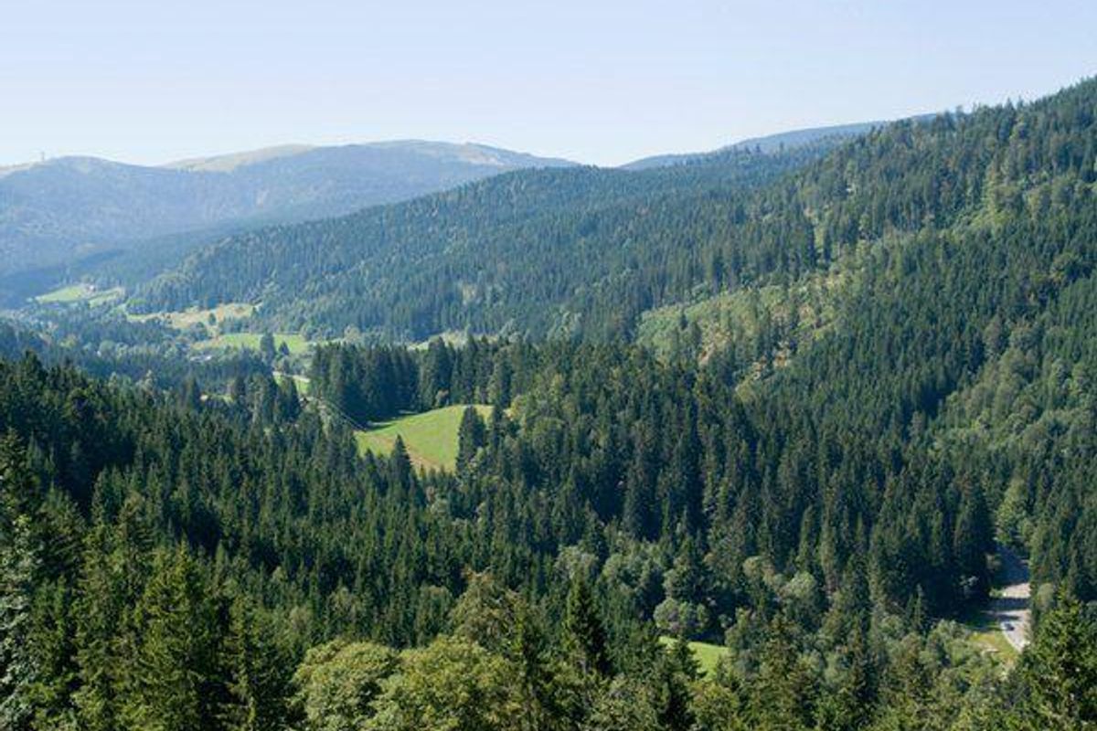 My Travels on "Rhineland Discovery": A Beautiful Day in the Black Forest