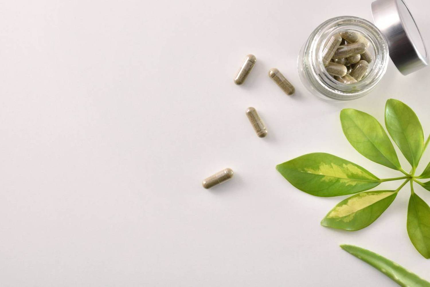 The Buzz About Black Cohosh