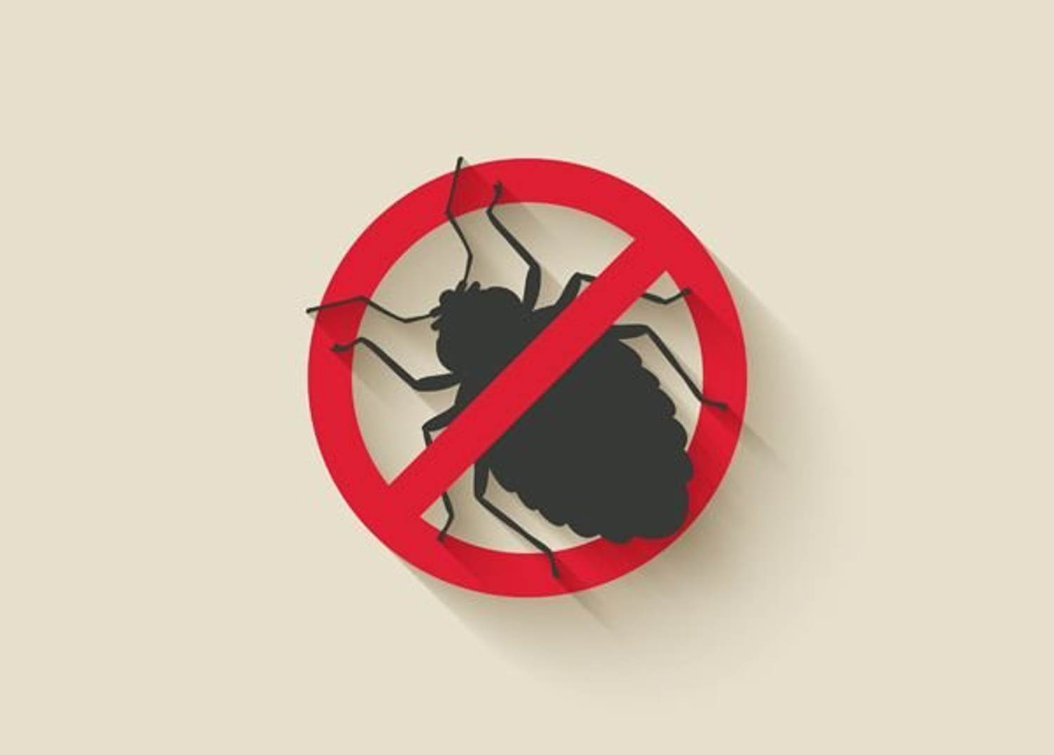 How Many Bugs Live in Your House?
